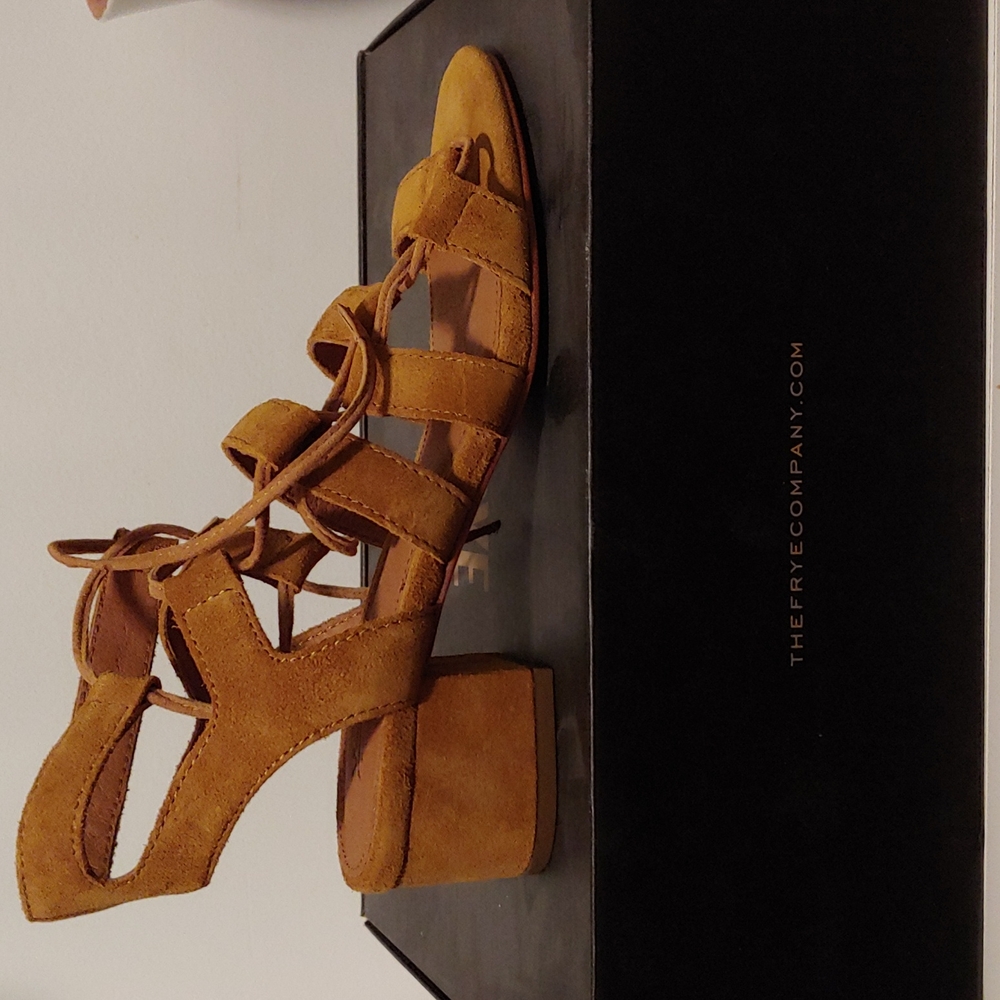 NEW in box leather FRYE